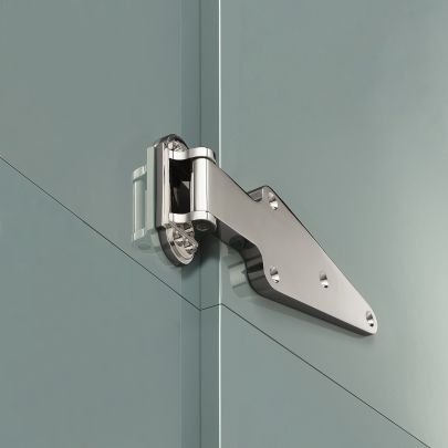 The image shown below is Polished Nickel